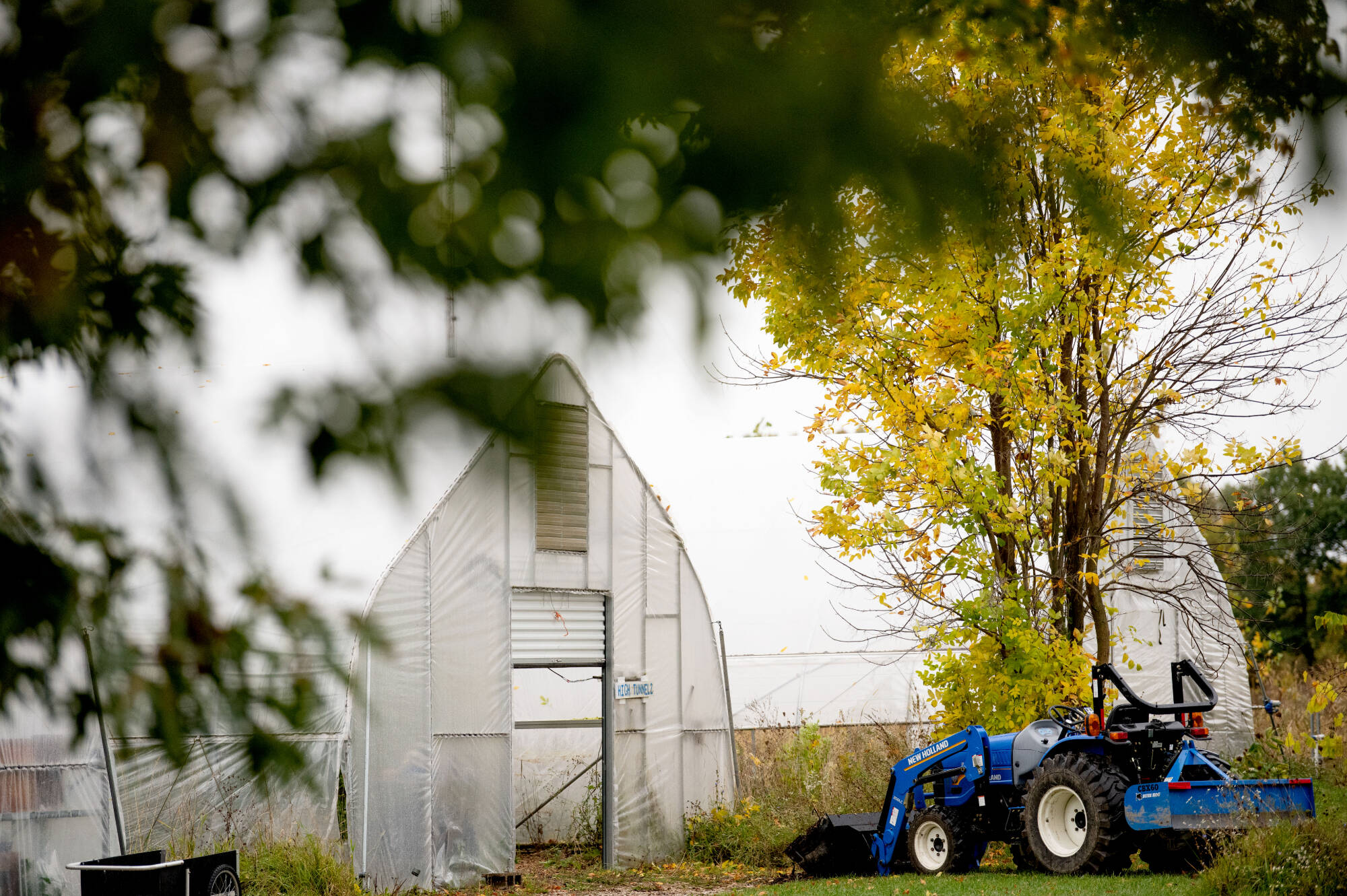 Sustainable Agriculture Project